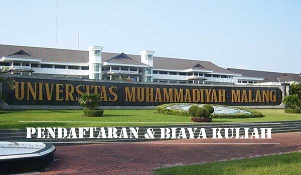 52 Mahasiswa Muhammadiyah KKN di Thailand